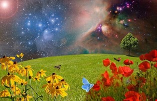 supporting image for Unit 1 Part A Catholicism: Creation - Blended learning