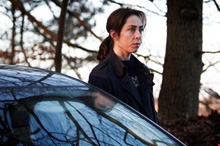 supporting image for Television in the Global Age: European and historical crime drama