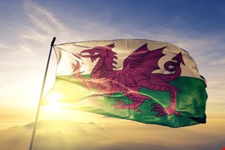 supporting image for Wyneb yn Wyneb (Face to Face) - Blended learning