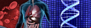supporting image for Applied Science