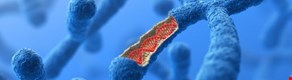 Unit 2.2: Cell division and stem cells - Blended learning