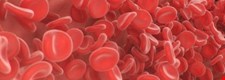 Unit 1.4: Circulatory system in humans - Blended learning