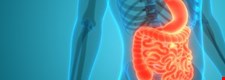 Unit 1.3: Digestion and the digestive system in humans - Blended learning