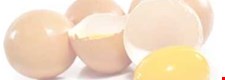 The effect of cooking on food - Eggs